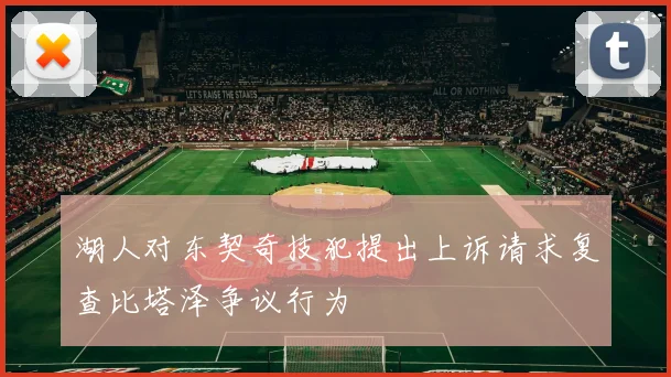湖人对东契奇技犯提出上诉请求复查比塔泽争议行为