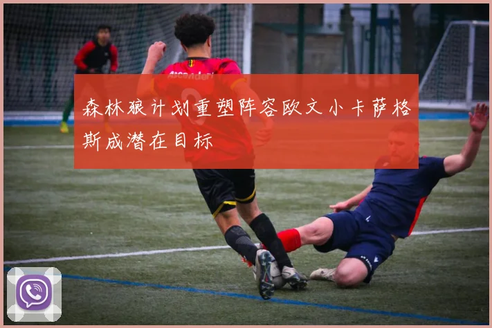 森林狼计划重塑阵容欧文小卡萨格斯成潜在目标