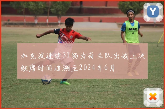 加克波连续31场为荷兰队出战上次缺席时间追溯至2024年6月
